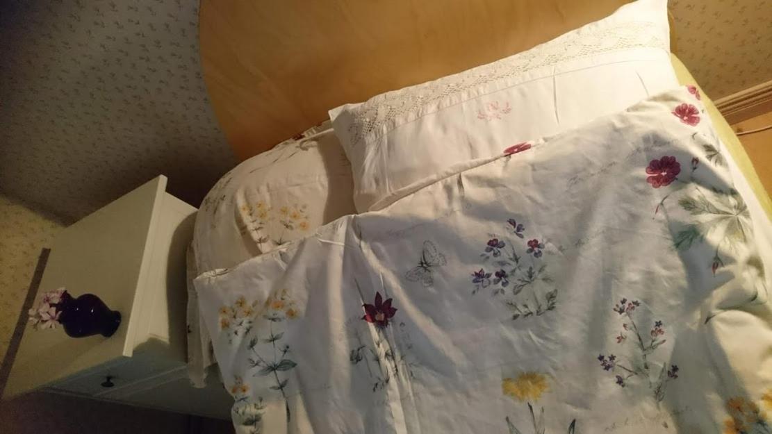 Bed and Breakfast Bo I Remmarloev Есльов Екстер'єр фото